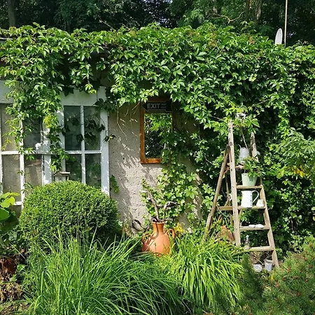 Ferienwohnung Ostseestern Fewo Nr 01 * Wiek auf Rügen