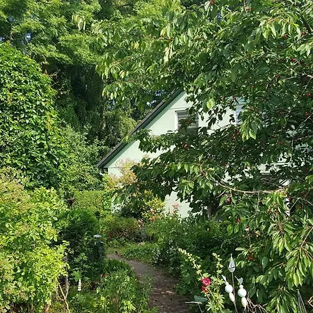 Ferienwohnung Ostseestern Fewo Nr 01 *